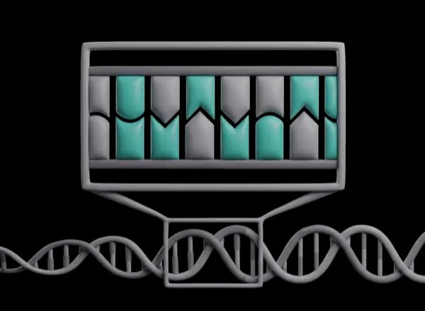 DNA sequence analysis with AI-assisted bioinformatics